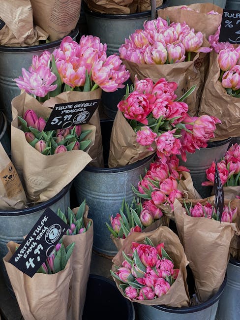 An arranged display of multiple flower bouquets featuring pink tulips with smooth, elongated petals and green stems, wrapped in brown kraft paper. The bouquets are placed in metal buckets, some with b
